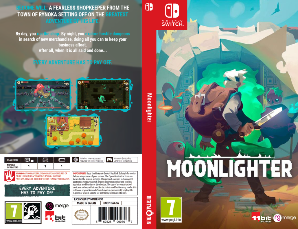 Moonlighter Switch Cover